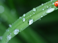 В Волгоградской области прогнозируются кратковременные дожди