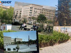 Пальмы росли на улицах Сталинграда - куда они делись?