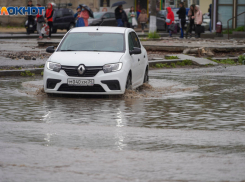Вырывающий деревья с корнем шторм идет на Волгоградскую область