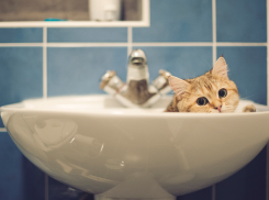 На выходные пять районов Волгограда останутся без воды