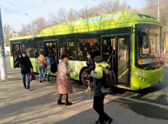 Мэрия: 86 новых остановочных павильонов установят в Волгограде 