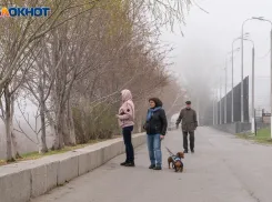 Семь дней дождей идет на Волгоград