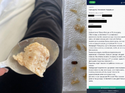 «Пациенты голодные и злые»: волгоградка написала Путину о питании в больнице №25