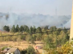 Пожар в закрытой усадьбе «Сосновый бор» сняли на видео волгоградцы