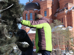 У храма Александра Невского в Волгограде стали высаживать деревья