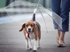 В Волгоградской области похолодает до +6 градусов