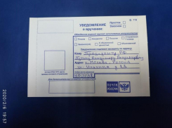 Письмо Путину отправили волгоградцы после сравнения губернатором Краснодарского края Мамаева кургана со свалкой