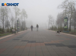 Заморозки до 0 надвигаются на Волгоградскую область