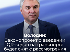 Лучшим подарком на День Конституции назвали волгоградцы отмену законопроекта о QR-кодах на транспорте