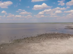 Пруды-испарители под Цацой засняли с высоты птичьего полета