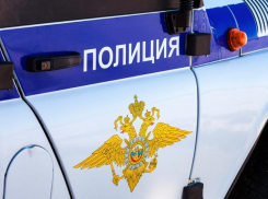 Полиция обнаружила обглоданный собаками труп мужчины в Волжском