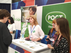 Безработных волгоградцев попробуют отправить в сёла