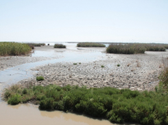 Под Волгоградом восстановят озера и ерик на 138,5 млн. рублей