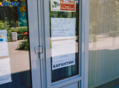 Волгоградские школы массово отправили на дистант