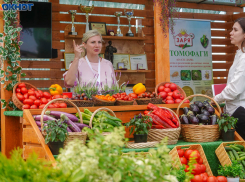 Только два продукта не вписались в сезонное снижение цен на овощи и фрукты в Волгограде