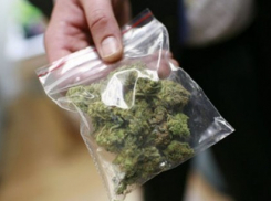 Под Волгоградом молодую девушку осудят за попытку продать марихуану