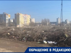 «Трупы гниющих собак лежат сверху»: волгоградцы показали свалку в Жилгородке