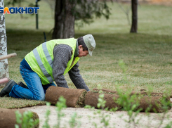 В Советском районе Волгограда около школы разобьют новый сквер