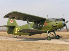 Бывший директор аэропорта возглавил гараж администрации Волгограда