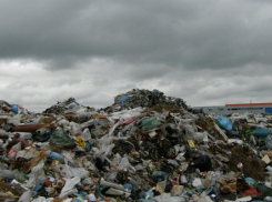 В Волгоградской области насчитали 800 несанкционированных свалок