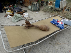 Десяток образцов опасного оружия и пять тысяч патронов нашли в гараже у волгоградца