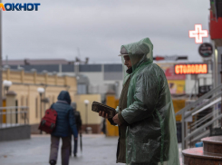 Волгоградцам пообещали поднять зарплаты