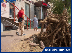 Апокалипсис в центре Волгограда устроили ради создания образцовой улицы