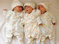 В семье фельдшера в Волгограде родилась тройня мальчиков