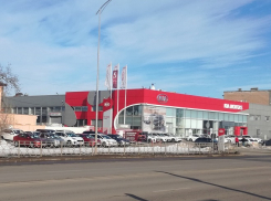 Волки в овечьей шкуре: автодилера выставили виновным в продаже завода за бесценок