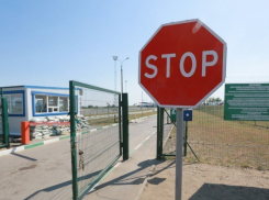 17 тонн говядины не смогли перейти российско-казахскую границу