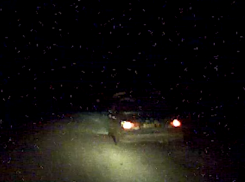 В Волгоградской области во время погони открыли стрельбу: видео