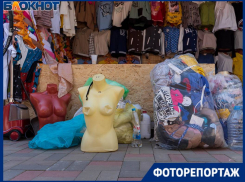 Честный взгляд на новый рынок: куда послали волгоградцев