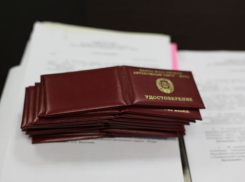 Пять депутатов из Фролово сложили полномочия из-за непредставления сведений о доходах