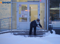 «Мягкотелые» январь и февраль сменят «нордический» декабрь в Волгограде