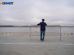 Дождь и сильный ветер накроет Волгоградскую область 11 октября