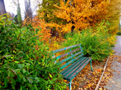 22 сентября в Волгограде малооблачно и без осадков 