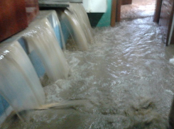  Грязевыми потоками и дождем заполняется ванная комната волгоградки во время ливня