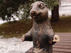 Обломавшего лапы суслику арестовали в Волжском 