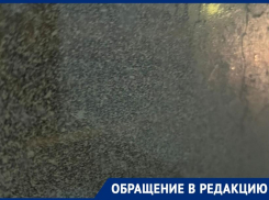 «Ничего не видно»: на поездки вслепую в автобусах пожаловались волгоградцы 