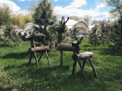 Волгоградцам рассказали, как поделить участок с соседями и не подраться