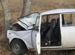В Волгоградской области водитель за рулем «ВАЗ-2107» протаранил дерево 