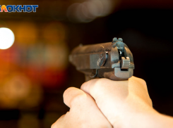 Волгоградец подстрелил мать в попытке прогнать лису