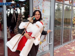 Где найти огромный выбор елок и украшений к Новому Году смотрите в обзоре