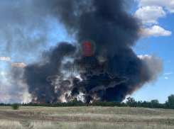 Лесной пожар пытаются потушить под Волгоградом 
