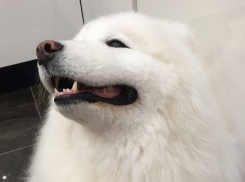 Ирина Дубцова рассказала о семейной утрате