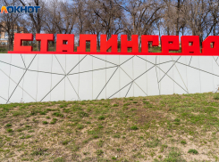 Волгоградские чиновники закупят книги про Сталинград на 3 миллиона рублей