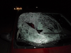 Под Волгоградом сбили двоих пешеходов