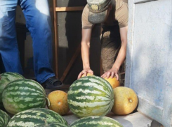 Способ перевезти тонну бахчевых в госпиталь для раненых на Донбассе ищут под Волгоградом