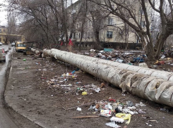 Жители города-героя считают: быть волгоградцем — самая опасная в мире профессия 