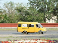 Еще 15 маршруток забирают у жителей Волгограда с понедельника